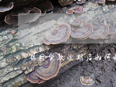 银行贷款逾期后如何收取 银行贷款逾期后如何收取