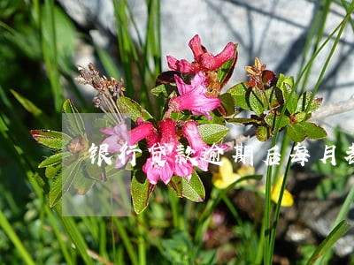 银行贷款逾期后每月都有还