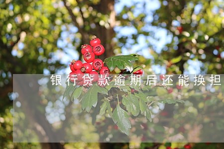 银行贷款逾期后还能换担保人吗
