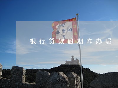 银行贷款逾期咋办呢 银行贷款逾期咋办呢