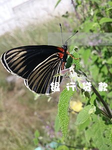 银行贷款逾期坏账 银行贷款逾期坏账