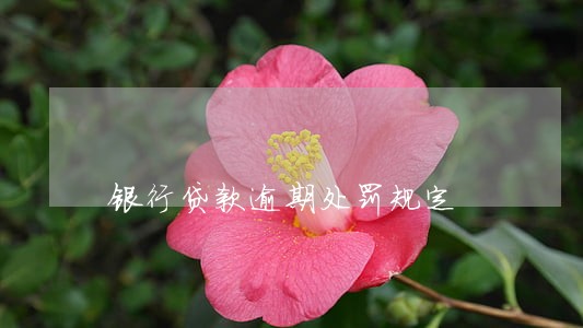 银行贷款逾期处罚规定 银行贷款逾期处罚规定