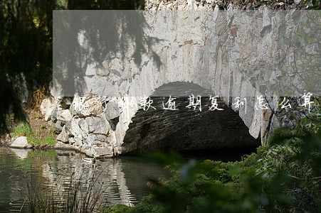 银行贷款逾期复利怎么算 银行贷款逾期复利怎么算