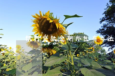 银行贷款逾期外包有办法撤吗 银行贷款逾期外包有办法撤吗
