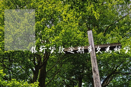 银行贷款逾期多久为新贷不良 银行贷款逾期多久为新贷不良