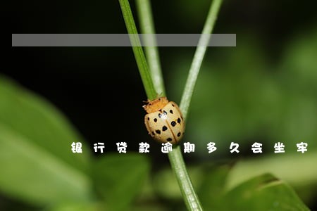 银行贷款逾期多久会坐牢 银行贷款逾期多久会坐牢