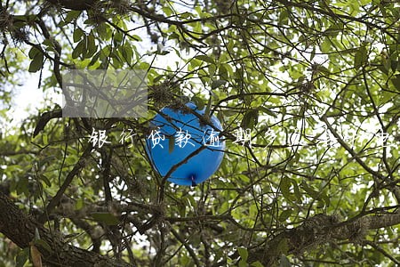 银行贷款逾期多久会打电话给家人 银行贷款逾期多久会打电话给家人