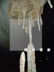 银行贷款逾期多久会拉黑 银行贷款逾期多久会拉黑