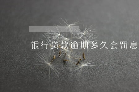 银行贷款逾期多久会罚息 银行贷款逾期多久会罚息