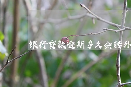 银行贷款逾期多久会转外包 银行贷款逾期多久会转外包