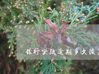 银行贷款逾期多久恢复征信 银行贷款逾期多久恢复征信