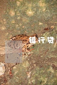 银行贷款逾期多久找家里来 银行贷款逾期多久找家里来