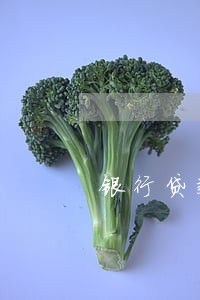 银行贷款逾期多久担保人被