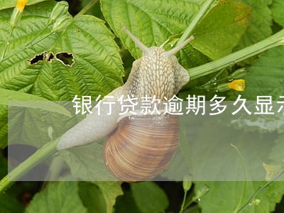 银行贷款逾期多久显示2 银行贷款逾期多久显示2