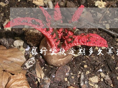 银行贷款逾期多久算严重