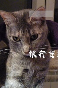 银行贷款逾期多久要上黑名单