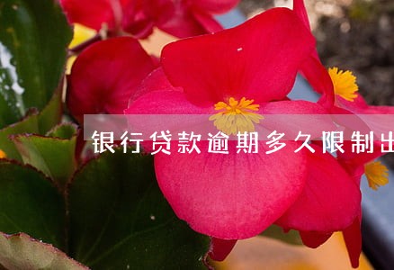 银行贷款逾期多久限制出行 银行贷款逾期多久限制出行