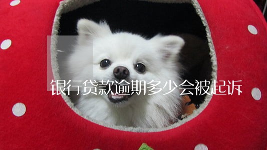 银行贷款逾期多少会被起诉 银行贷款逾期多少会被起诉