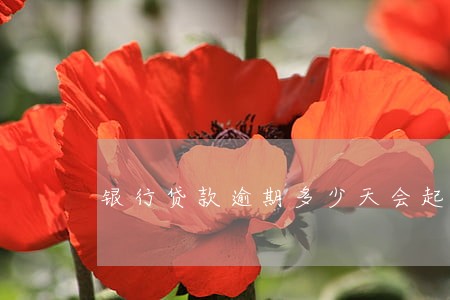 银行贷款逾期多少天会起诉 银行贷款逾期多少天会起诉