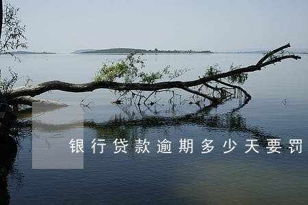 银行贷款逾期多少天要罚款 银行贷款逾期多少天要罚款