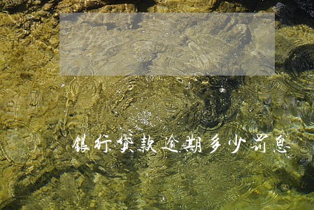 银行贷款逾期多少罚息 银行贷款逾期多少罚息