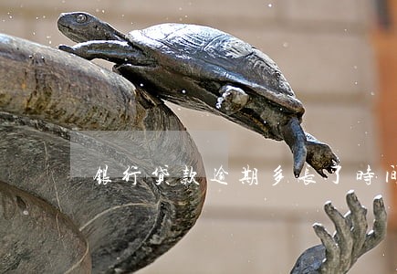 银行贷款逾期多长了时间催收 银行贷款逾期多长了时间催收