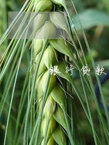 银行贷款逾期多长时间会上征信 银行贷款逾期多长时间会上征信