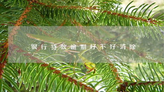 银行贷款逾期好不好消除 银行贷款逾期好不好消除