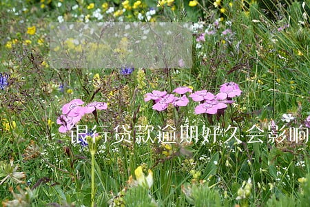 银行贷款逾期好久会影响征信 银行贷款逾期好久会影响征信
