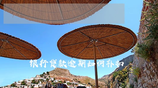 银行贷款逾期如何补扣 银行贷款逾期如何补扣