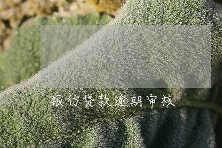 银行贷款逾期审核 银行贷款逾期审核