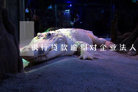 银行贷款逾期对企业法人有影响 银行贷款逾期对企业法人有影响
