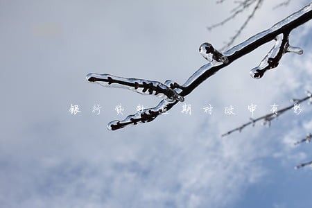 银行贷款逾期对政审有影响么 银行贷款逾期对政审有影响么