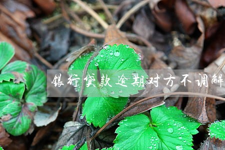 银行贷款逾期对方不调解 银行贷款逾期对方不调解