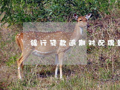 银行贷款逾期对配偶影响 银行贷款逾期对配偶影响
