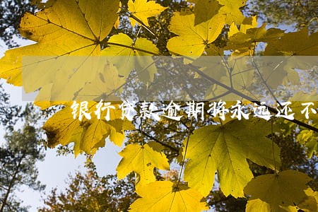 银行贷款逾期将永远还不完 银行贷款逾期将永远还不完