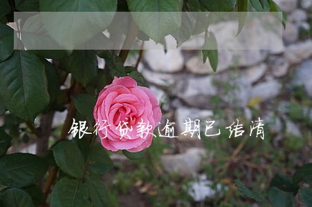 银行贷款逾期已结清 银行贷款逾期已结清