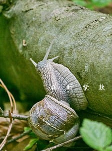 银行贷款逾期帮扶 银行贷款逾期帮扶