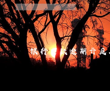 银行贷款逾期开庭在哪里 银行贷款逾期开庭在哪里