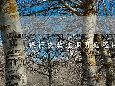 银行贷款逾期开庭程序 银行贷款逾期开庭程序