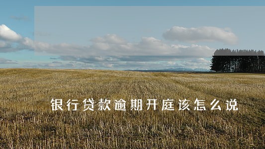 银行贷款逾期开庭该怎么说 银行贷款逾期开庭该怎么说