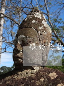 银行贷款逾期影响子女入吗