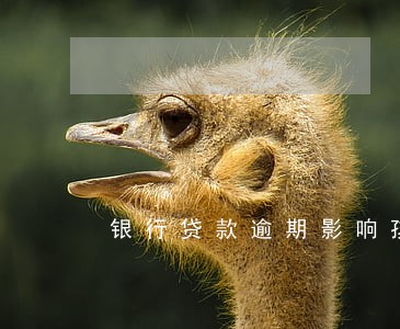 银行贷款逾期影响孩子 银行贷款逾期影响孩子