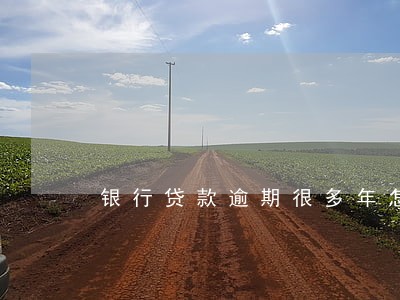银行贷款逾期很多年怎么办 银行贷款逾期很多年怎么办