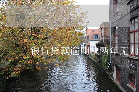 银行贷款逾期快两年无力偿还 银行贷款逾期快两年无力偿还