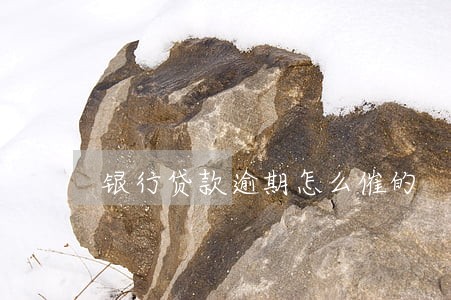 银行贷款逾期怎么催的 银行贷款逾期怎么催的