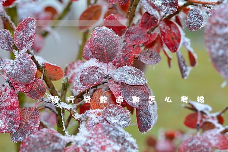 银行贷款逾期怎么考核 银行贷款逾期怎么考核