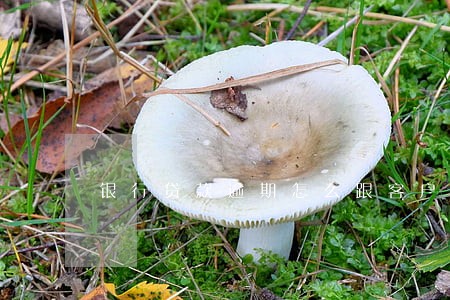 银行贷款逾期怎么跟客户谈价格 银行贷款逾期怎么跟客户谈价格