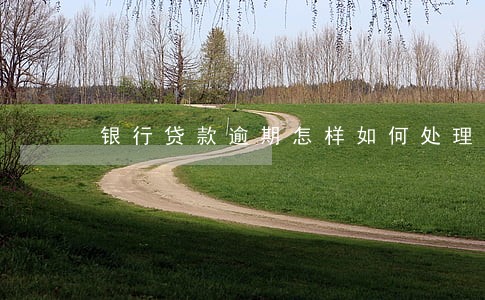 银行贷款逾期怎样如何处理 银行贷款逾期怎样如何处理
