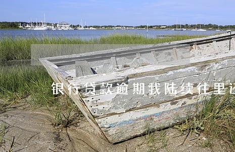 银行贷款逾期我陆续往里还 银行贷款逾期我陆续往里还